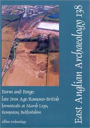 Farm and Forge: Late Iron Age/Romano-British Farmsteads at Marsh Leys, Kempston, Bedfordshire de Mike Luke