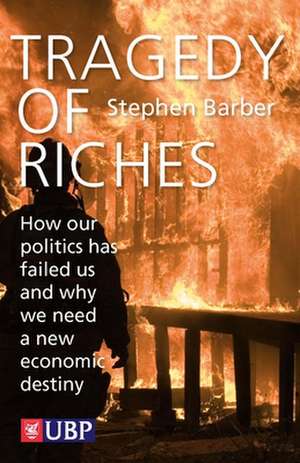 Tragedy of Riches: How Our Politics Has Failed Us and Why We Need a New Economic Destiny de Stephen Barber