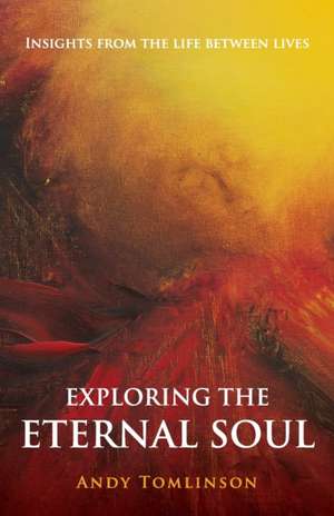 Exploring the Eternal Soul - Insights from the Life Between Lives de Andy Tomlinson