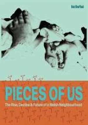 Pieces of Us de Rob Sheffield