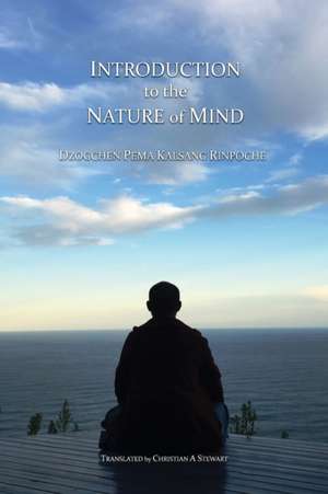 Introduction to the Nature of Mind de Dzogchen Pema Kalsang Rinpoche