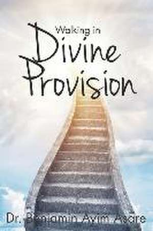 Walking in Divine Provision de Benjamin Ayim Asare