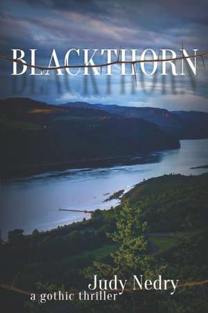 Blackthorn: a gothic thriller de Judy Nedry