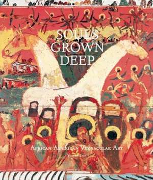 Souls Grown Deep Vol. 2: African American Vernacular Art de Lowery Sims