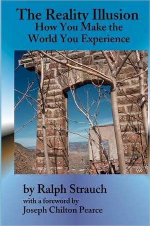 The Reality Illusion: How You Make the World You Experience de Ralph Strauch