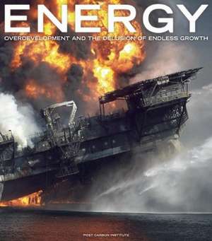 Energy: Overdevelopment and the Delusion of Endless Growth de Richard Heinberg