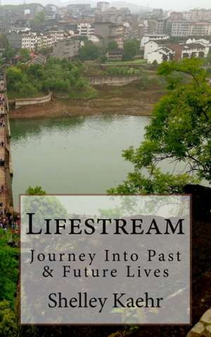 Lifestream: Journey Into Past & Future Lives de Shelley A. Kaehr