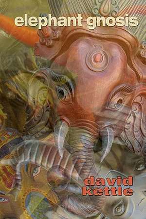 Elephant Gnosis: Meditations on Maximum Velocity de David Kettle