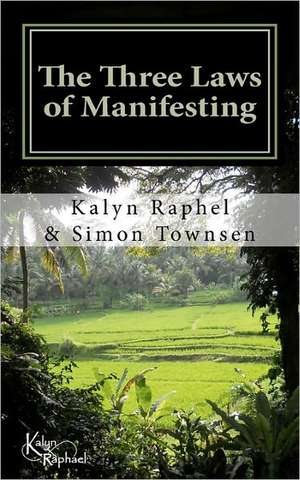 The Three Laws of Manifesting: The Death of a Child de Kalyn B. Raphael