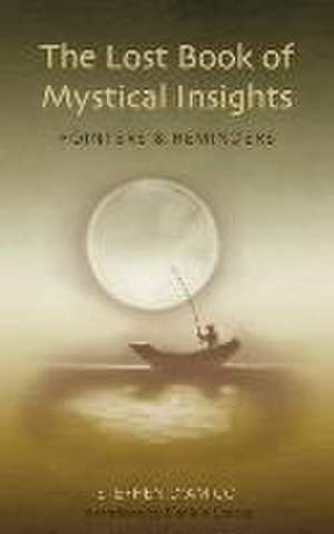 The Lost Book of Mystical Insights de Stephen D'Amico