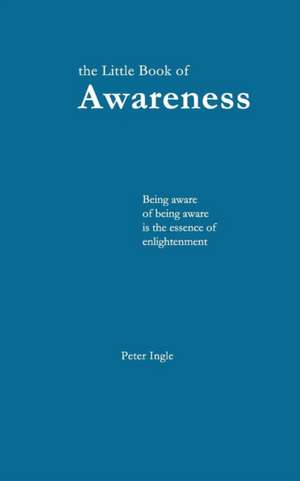 The Little Book of Awareness de Peter Ingle