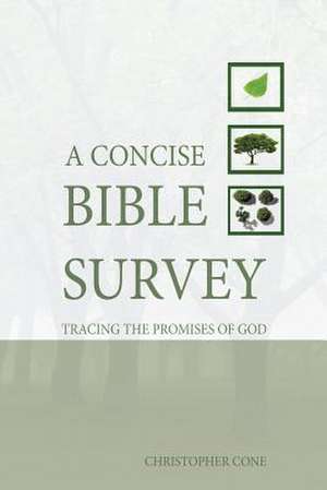 A Concise Bible Survey