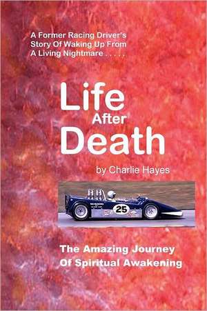 Life After Death: An Introduction to Your Natural State de Charlie Hayes