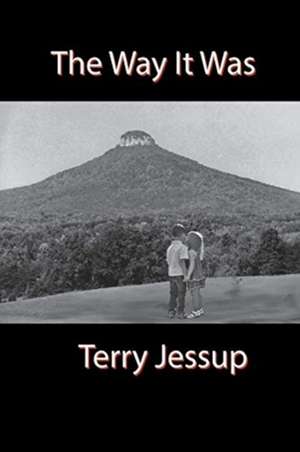 The Way It Was de Terry Jessup