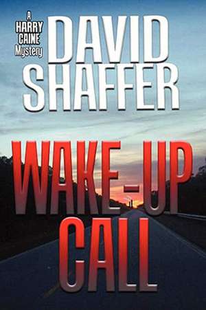 Wake-Up Call de David Shaffer