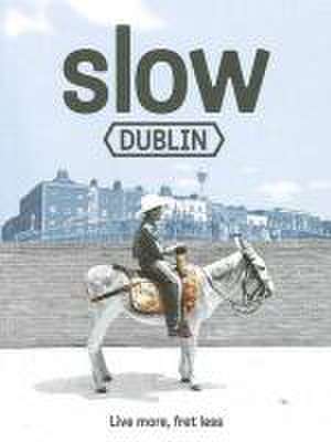 The Slow Dublin de Anto Howard