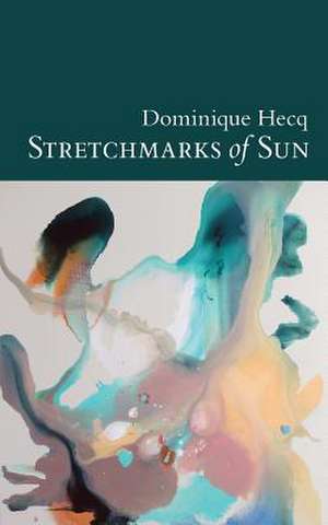 Stretchmarks of Sun: Autofictional Fragments de Dominique Hecq