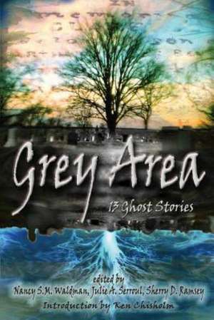 Grey Area: 13 Ghost Stories de Nancy S. M. Waldman