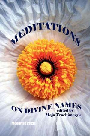 Meditations on Divine Names de Maja Trochimczyk