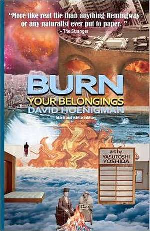 Burn Your Belongings: Stories Finished by Lily Hoang de David F. Hoenigman