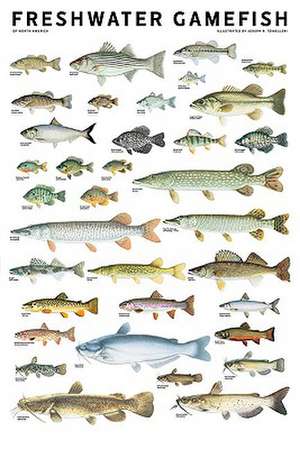 Freshwater Gamefish of North America Poster de Joseph R. Tomelleri