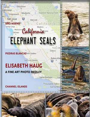 California Elephant Seals de Elisabeth Haug