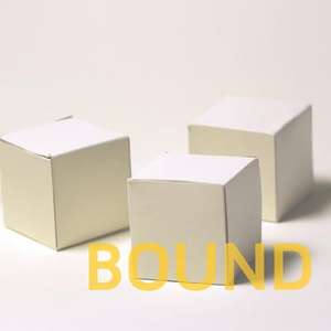 Bound: The First Array de Shanna Compton