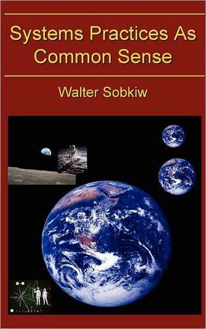 Systems Practices as Common Sense de Walter Sobiw