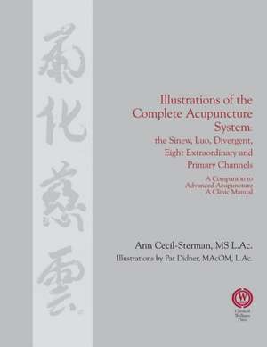 Illustrations of the Complete Acupuncture System de Ann Cecil-Sterman