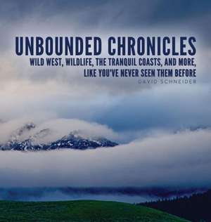 Unbounded Chronicles (Hardcover) de David Schneider