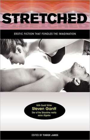 Stretched - Erotic Fiction That Fondles the Imagination de Tinder James