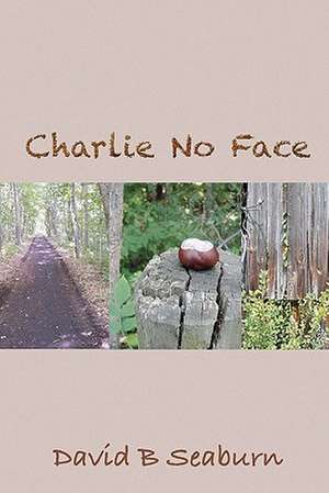 Charlie No Face: Reflections on Multiple Intelligences de David B. Seaburn