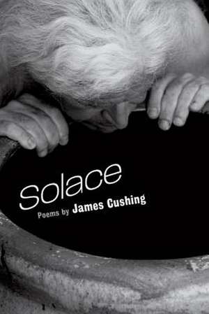 Solace de James Cushing
