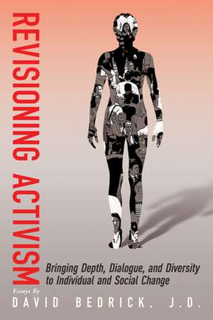 Revisioning Activism de David Bedrick