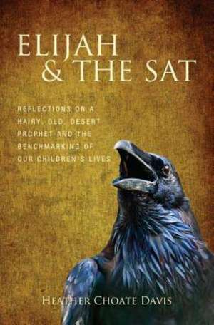 Elijah & the SAT: Reflections on a Hairy, Old, Desert Prophet and the Benchmarking of Our Children's Lives de Heather Choate Davis