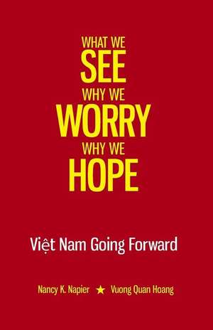 What We See, Why We Worry, Why We Hope de Nancy K. Napier