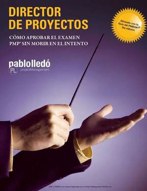 Director de Proyectos