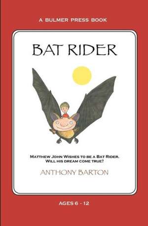 Bat Rider: The Lockean Tristram Shandy and the Modern Novel de Anthony Barton