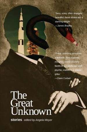 The Great Unknown de Angela Meyer