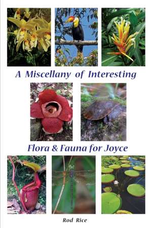 A Miscellany of Interesting Flora & Fauna for Joyce de Rod Rice