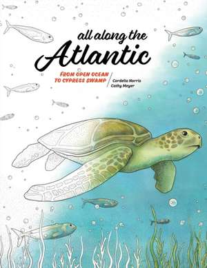 All Along the Atlantic de Cordelia Norris