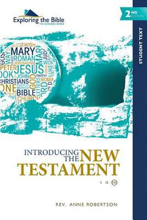 Introducing the New Testament de Rev Anne Robertson