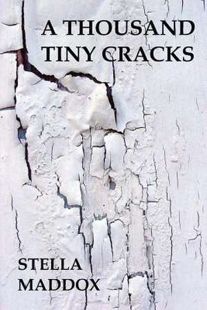 A Thousand Tiny Cracks: And Other Stories de Stella Maddox