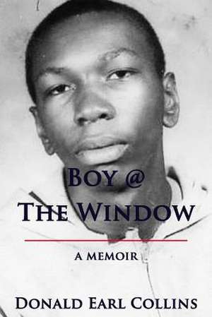 Boy @ the Window de Donald Earl Collins