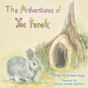 The Adventures of Joe Fenek de Graham Bayes