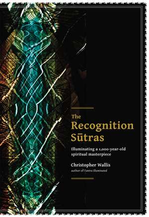 The Recognition Sutras de Christopher D Wallis