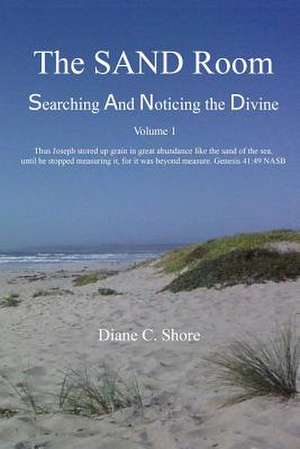 The Sand Room Vol. 1 de Diane C. Shore