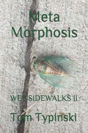 Meta Morphosis: Wet Sidewalks Two de Tom Typinski