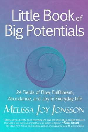 Little Book of Big Potentials de Melissa Joy Jonsson