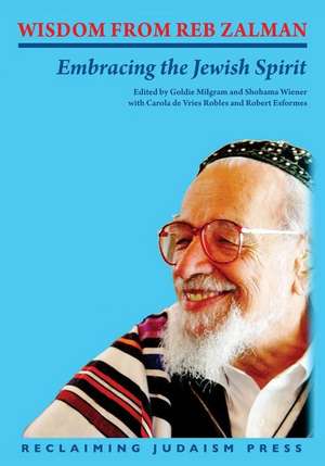 Wisdom from Reb Zalman: Embracing the Jewish Spirit de Rodger Kamenetz